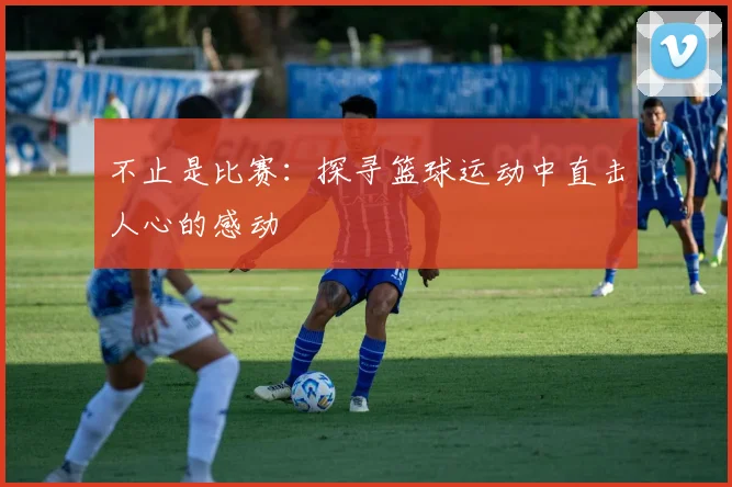 不止是比赛：探寻篮球运动中直击人心的感动