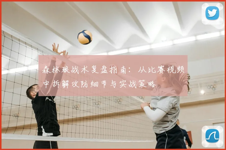 森林狼战术复盘指南：从比赛视频中拆解攻防细节与实战策略